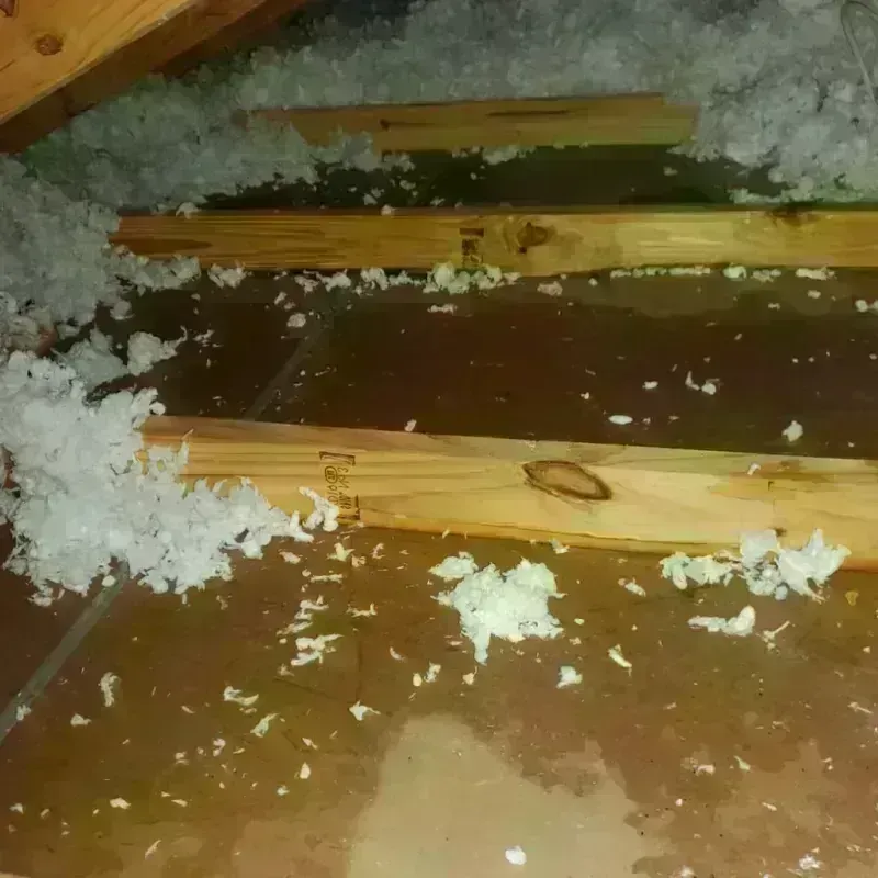 Attic Water Damage in Springfield, VT